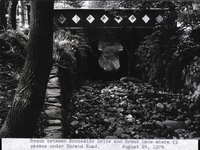 Photo only available in the library